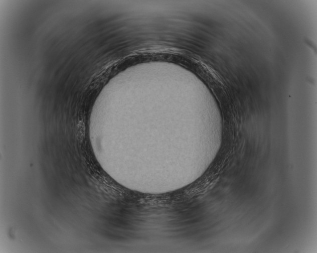 X0000097770821200804041150
