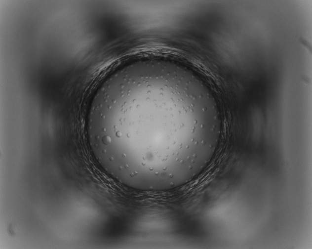 X0000097770822200804041150