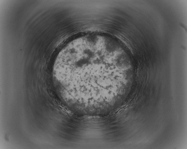X0000097770823200804041150