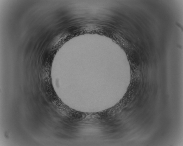 X0000097770824200804041150