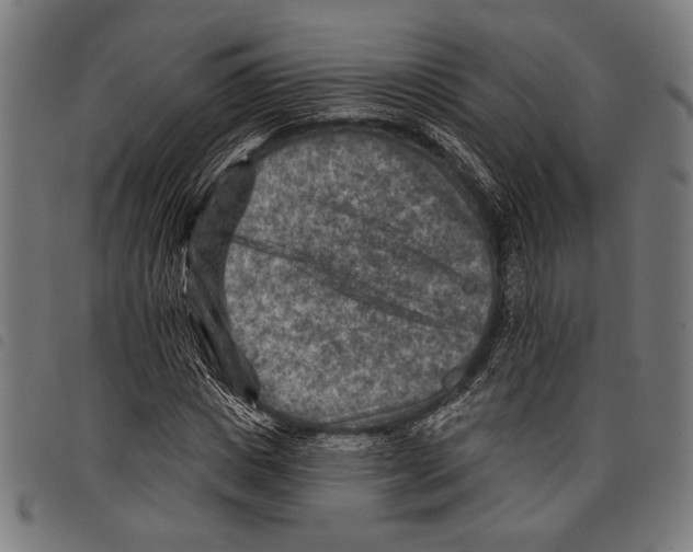 X0000097770825200804041150