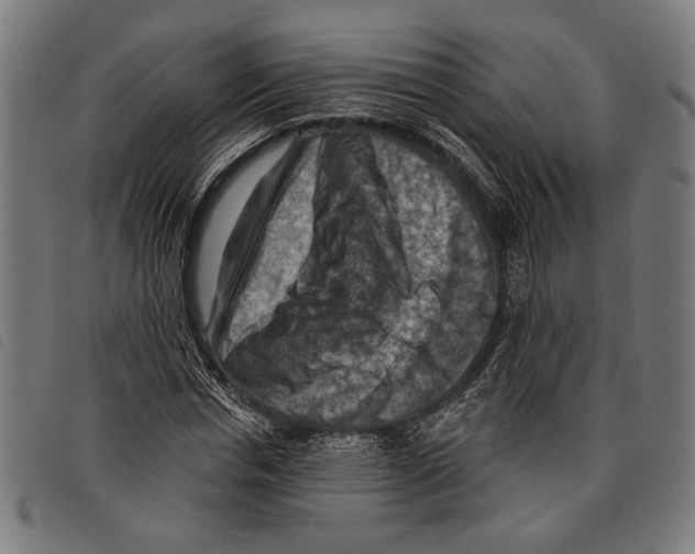 X0000097770826200804041150