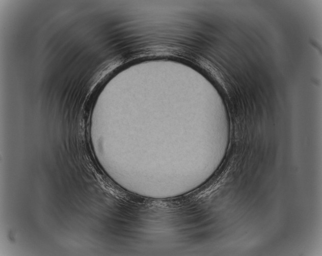 X0000097770827200804041150