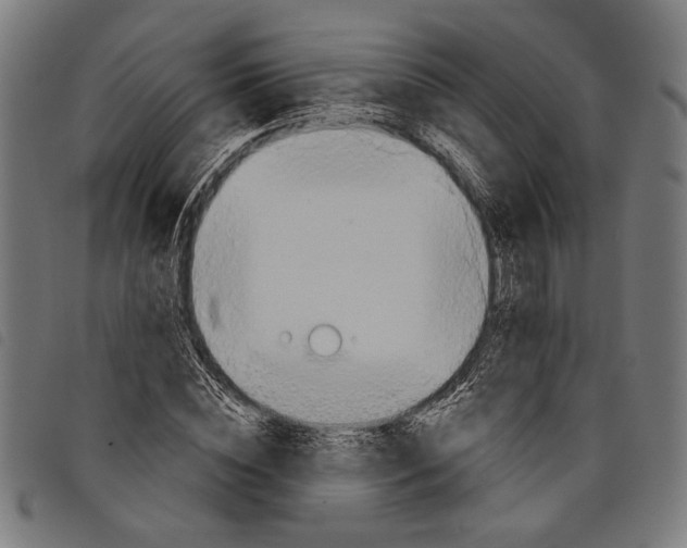 X0000097770828200804041150
