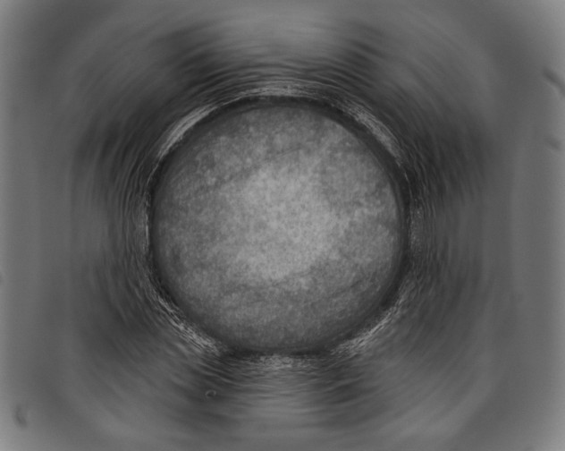 X0000097770829200804041150
