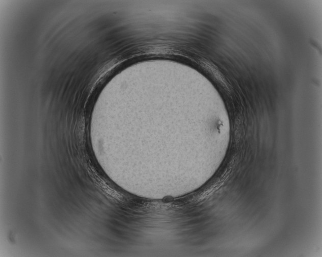 X0000097770831200804041150