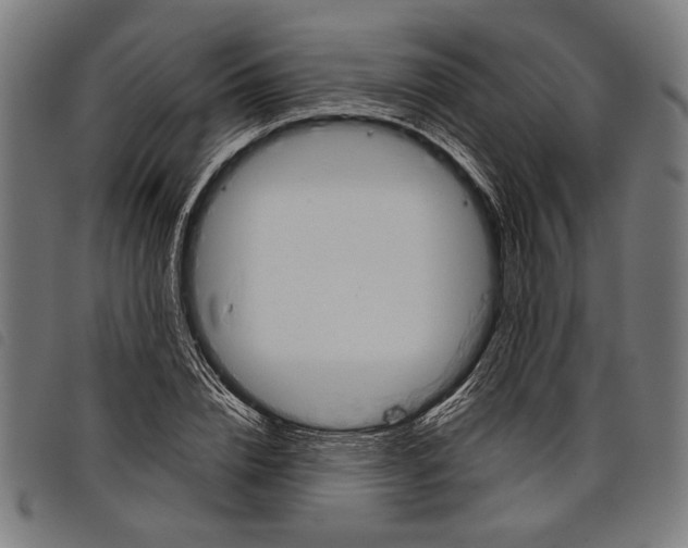 X0000097770832200804041150