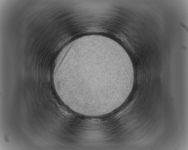 X0000097770833200804041150