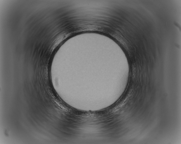 X0000097770834200804041150