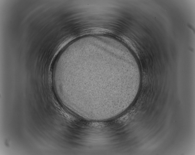 X0000097770835200804041150