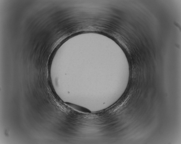 X0000097770837200804041150