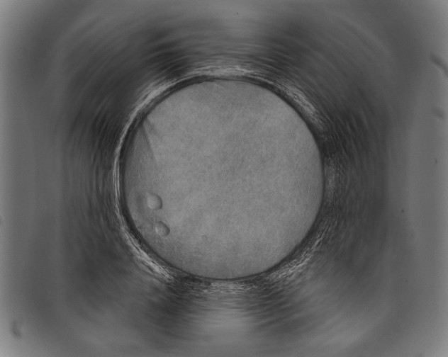 X0000097770840200804041150