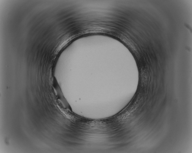 X0000097770842200804041151