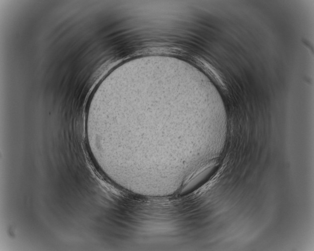X0000097770844200804041151