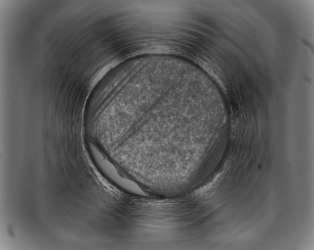 X0000097770845200804041151