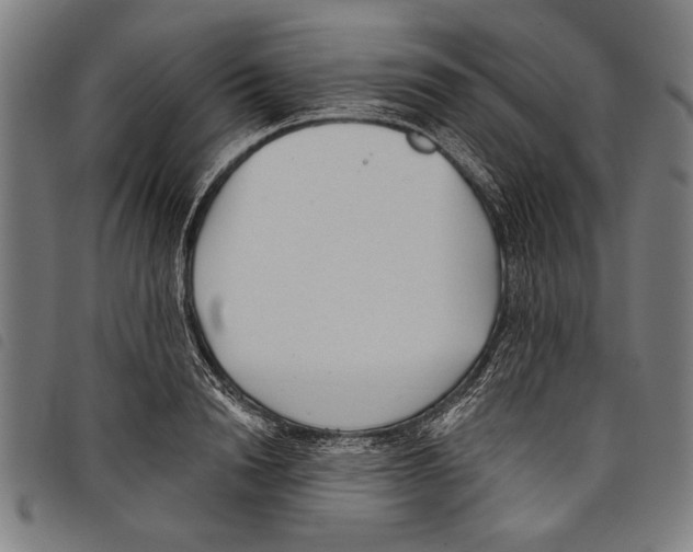 X0000097770846200804041151