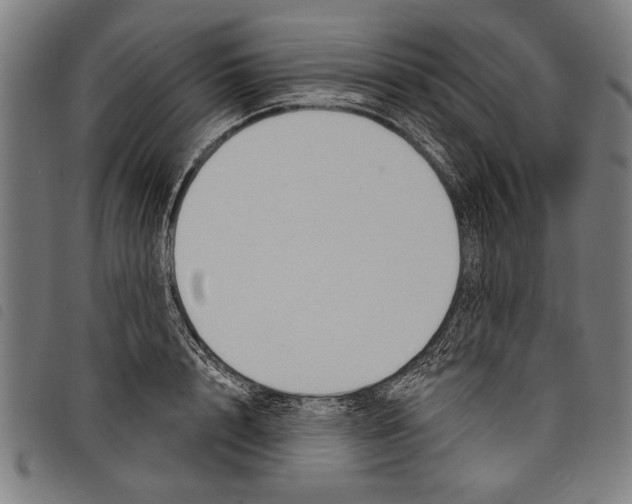 X0000097770848200804041151