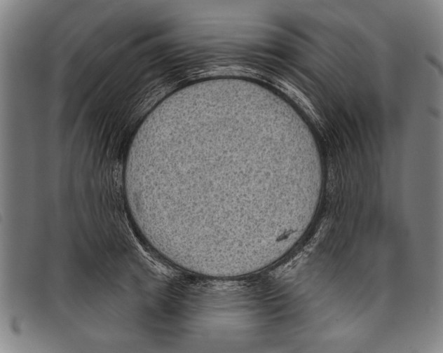 X0000097770849200804041151