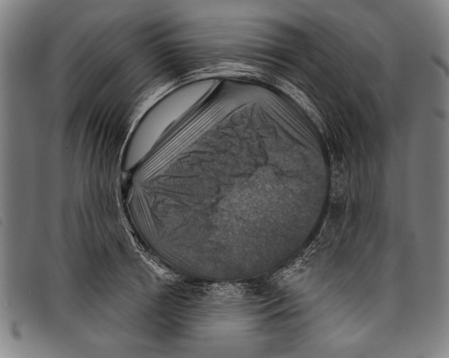 X0000097770850200804041151
