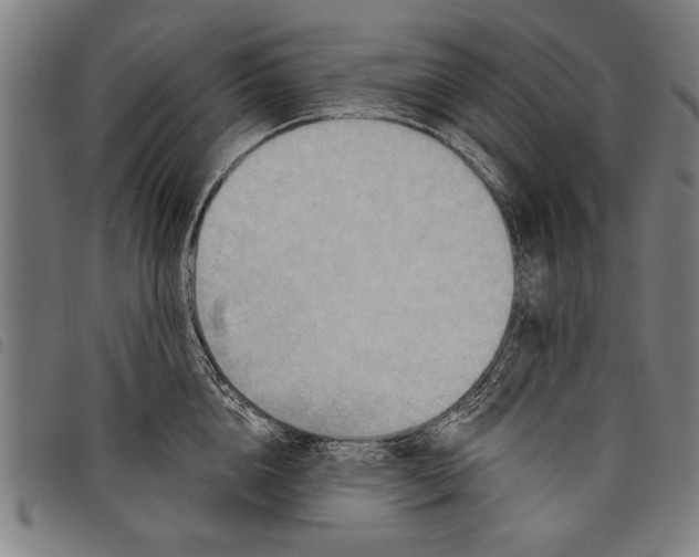 X0000097770856200804041151