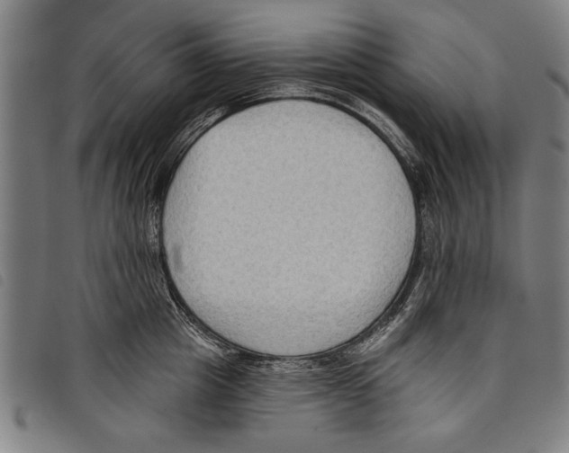 X0000097770857200804041151