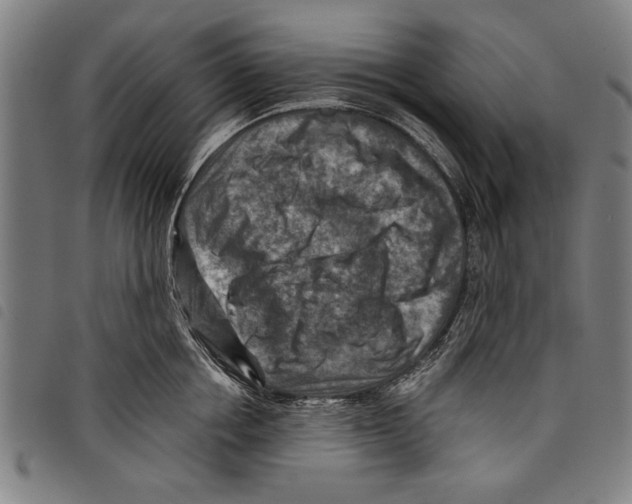 X0000097770858200804041151