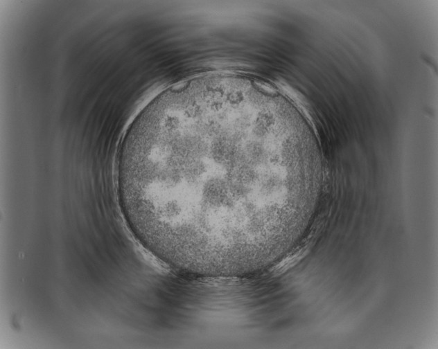 X0000097770859200804041151