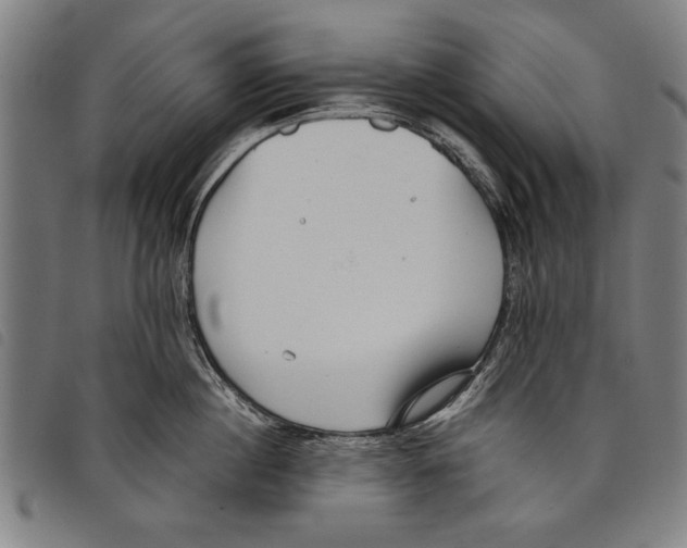 X0000097770860200804041151
