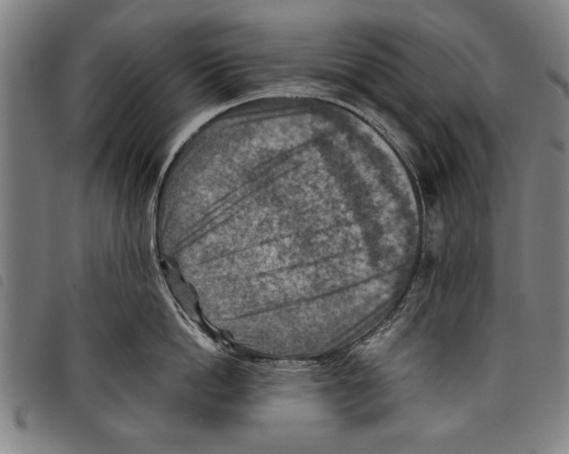 X0000097770862200804041151