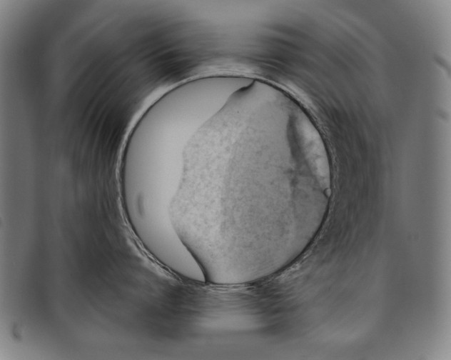 X0000097770864200804041151