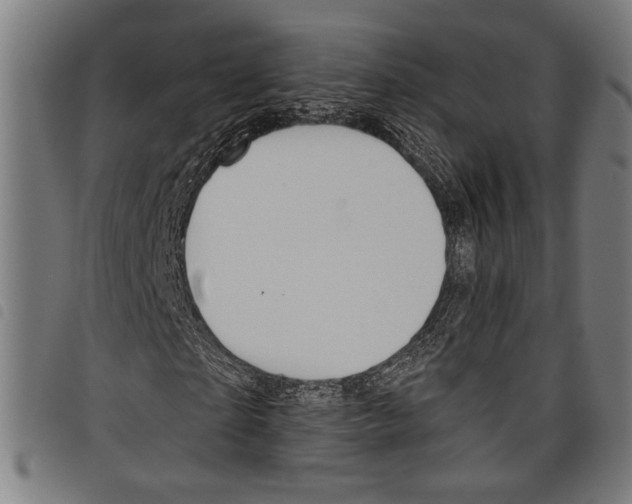 X0000097770865200804041150