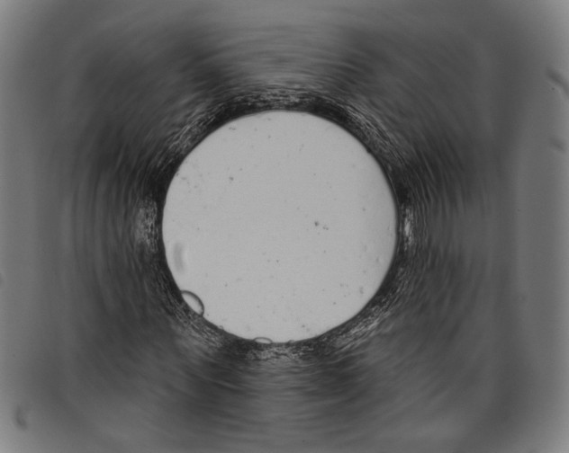 X0000097770867200804041150
