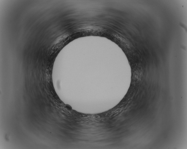X0000097770869200804041150