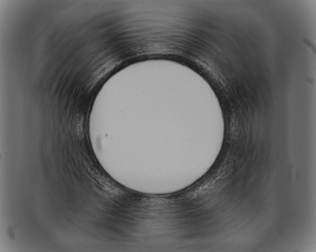 X0000097770873200804041150