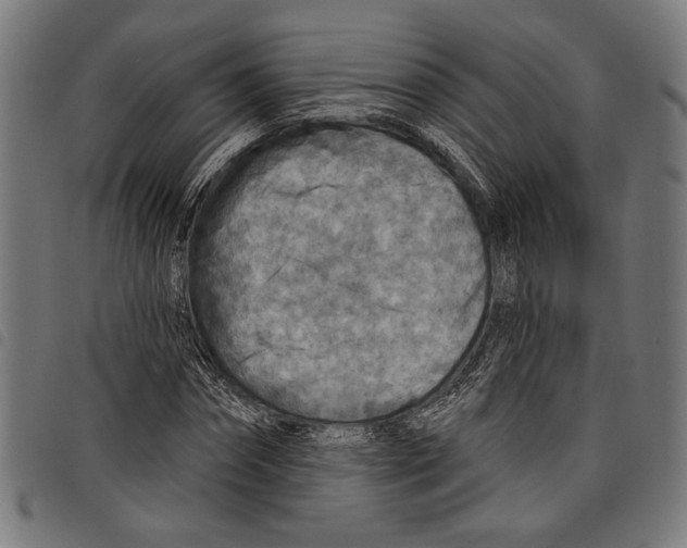 X0000097770874200804041150