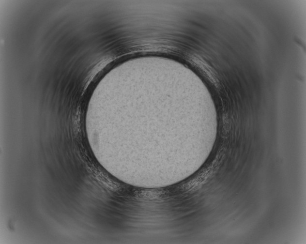 X0000097770875200804041150