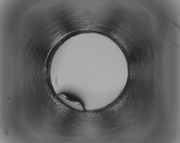 X0000097770876200804041150