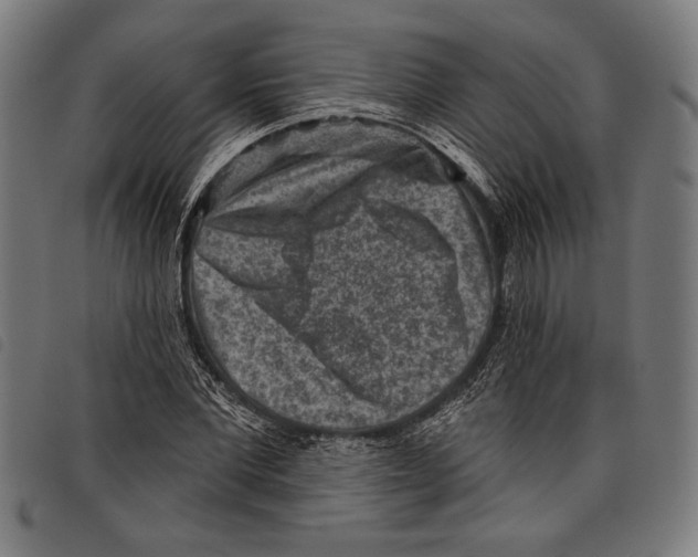 X0000097770877200804041150