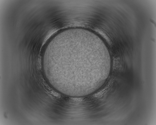 X0000097770878200804041150