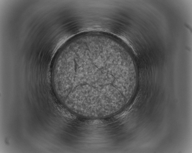 X0000097770879200804041150