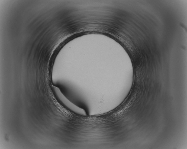 X0000097770880200804041150