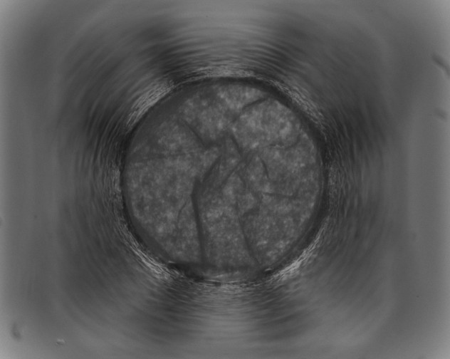 X0000097770881200804041150