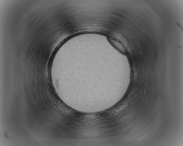 X0000097770883200804041150