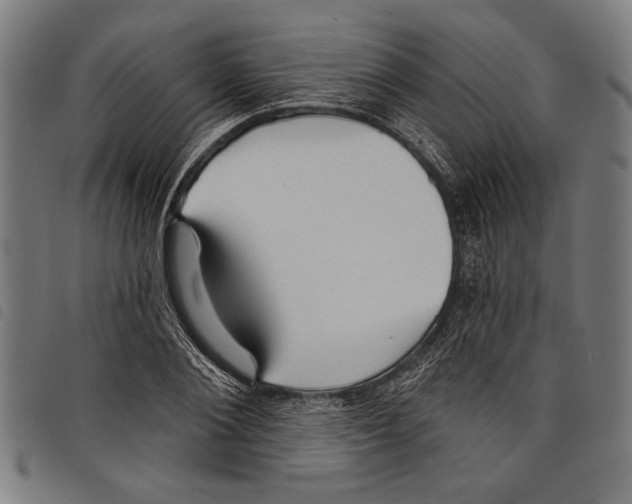 X0000097770884200804041150