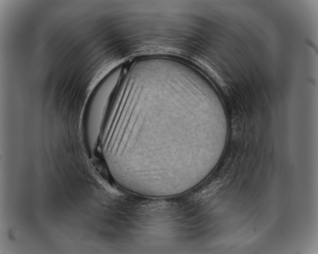 X0000097770885200804041150