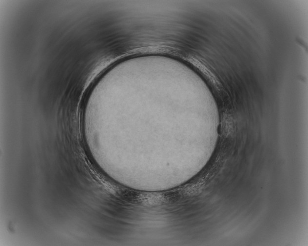 X0000097770886200804041150