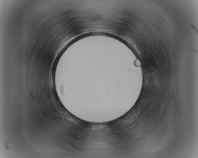 X0000097770887200804041150