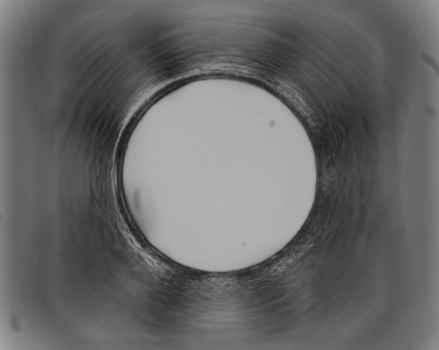 X0000097770888200804041150