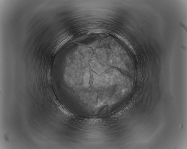 X0000097770889200804041150