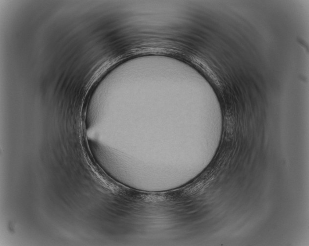 X0000097770890200804041150